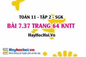 Bài 7.37 trang 64 Toán 11 tập 2 Kết nối tri thức
